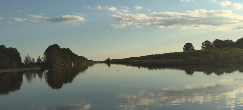 Everglades Tour & Drive Through Safari Park Admission - Self Drive