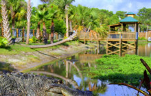 Gray Line Orlando3