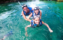 Delphinus1