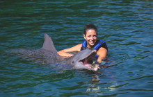 Delphinus2