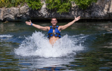 Delphinus3