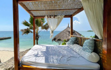 Irie Tours Bus Trips5