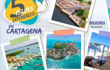 Irie Tours Bus Trips7