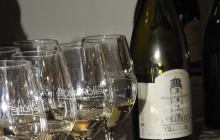 Rhône Trip7