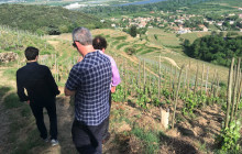 Rhône Trip8