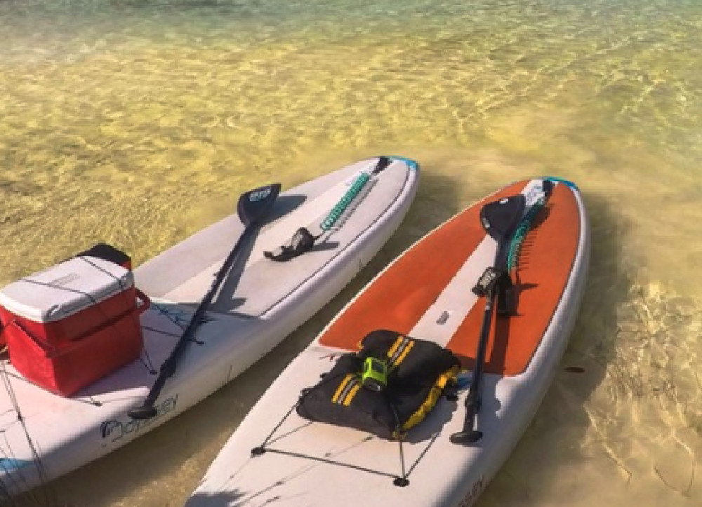 Paddleboard Rental