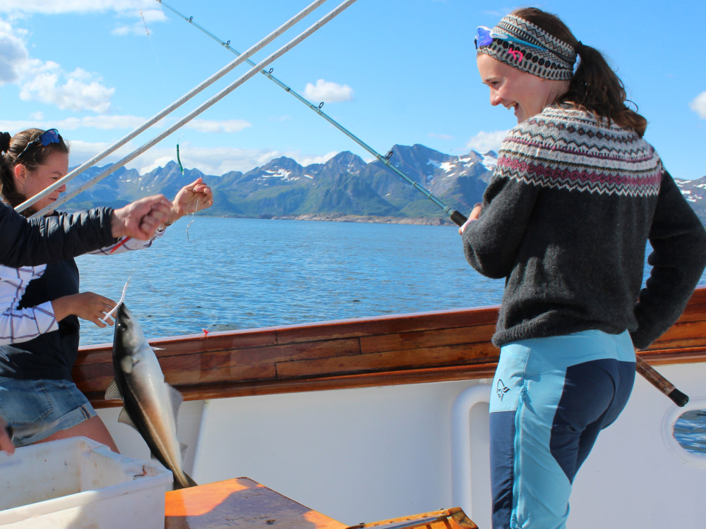 Taste of Lofoten Cultural Fishing Experience from Svolvær