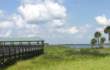 Gray Line Orlando6