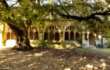 Oxford Official Walking Tours2