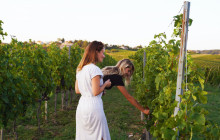 Rhône Trip3