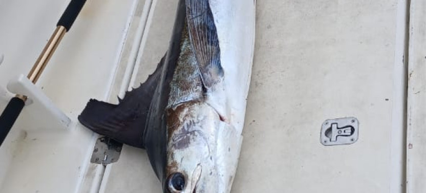 Private St Maarten Off-Shore Fishing (7.5 hrs)