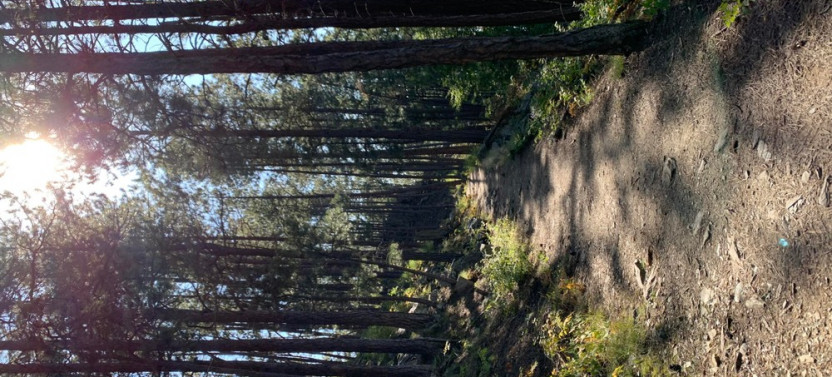 Private Mt. Rushmore and Flume Trail Hiking Tour