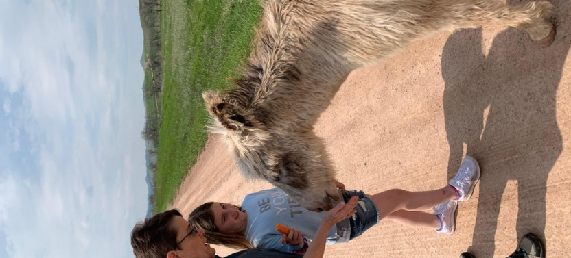 Private Custer State Park Jeep Safari & Hiking Tour
