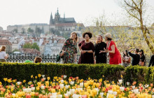 Prague City Adventures12