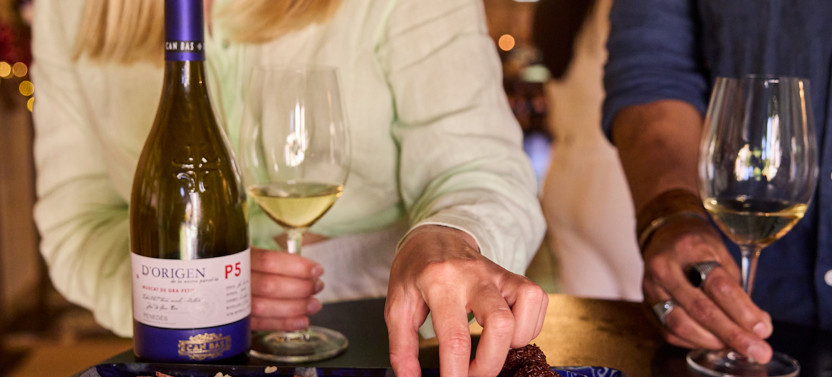 Penedés Wine & Cava Tasting & 4WD Vineyards Experience from Barcelona