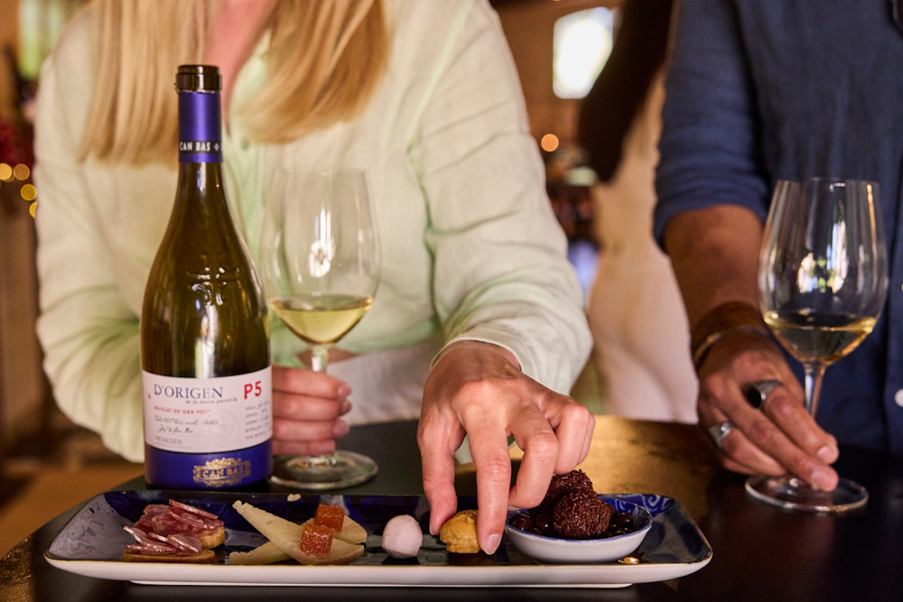 Penedés Wine & Cava Tasting & 4WD Vineyards Experience from Barcelona