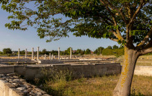 Avalon Travel Services3