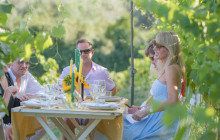 Dinner in the Vineyard3