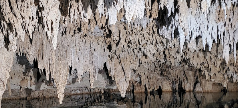 Dream Tulum: Archeological Site of Tulum, Underground River Snorkeling