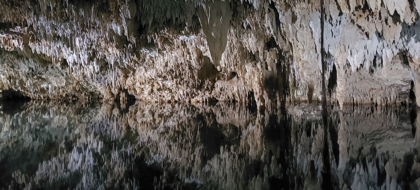 Dream Tulum: Archeological Site of Tulum, Underground River Snorkeling