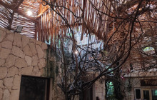 Living Dreams Mexico16