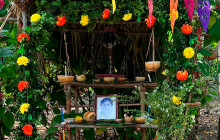 Living Dreams Mexico5