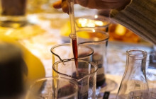 Athens Wine Tasting9