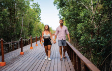 GLOBAL CRUISES MX8