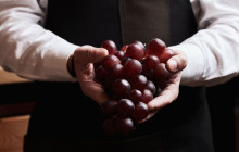 Athens Wine Tasting23