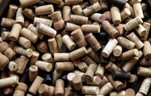 Athens Wine Tasting25
