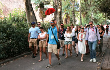 Caf Tour & Travel6