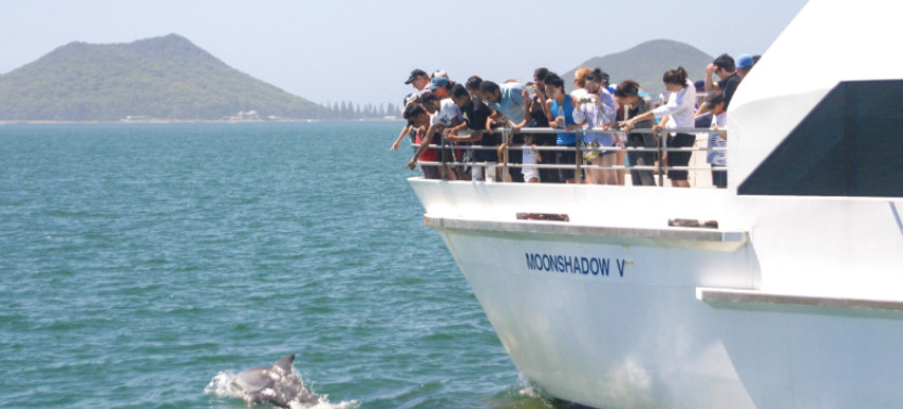 Port Stephens Experience-Mandarin Speaking