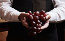Athens Wine Tasting13