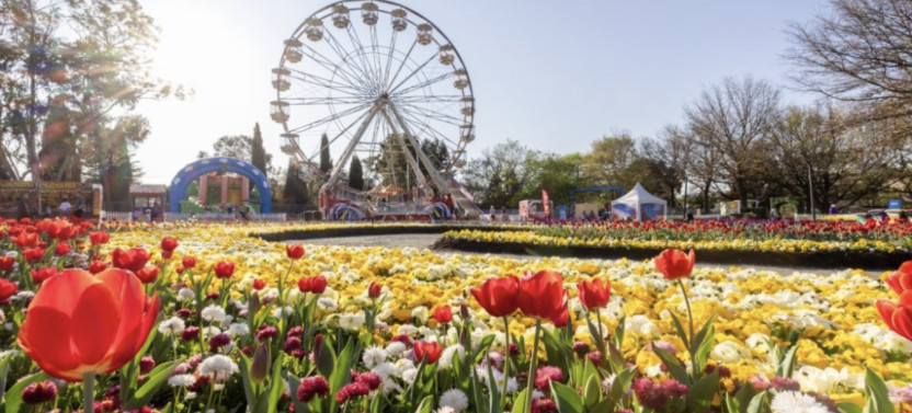 Canberra One Day Trips-Mandarin Tour