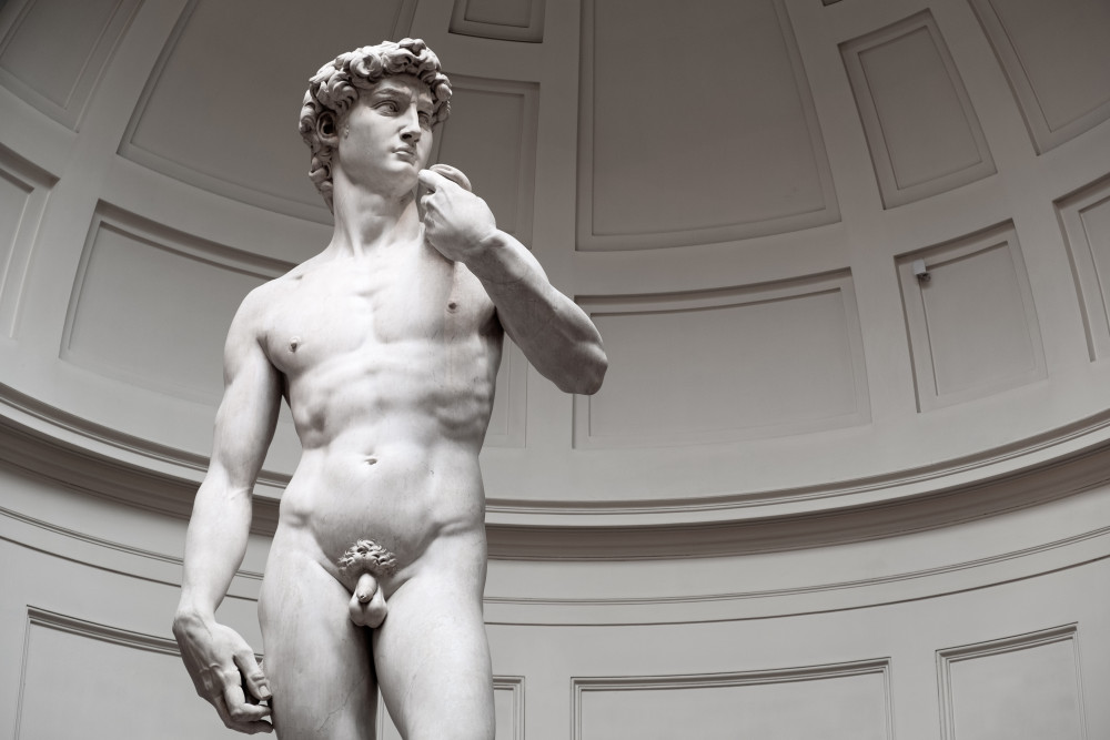 Renaissance and Medieval Visit with Accademia, Cathedral & Lunch