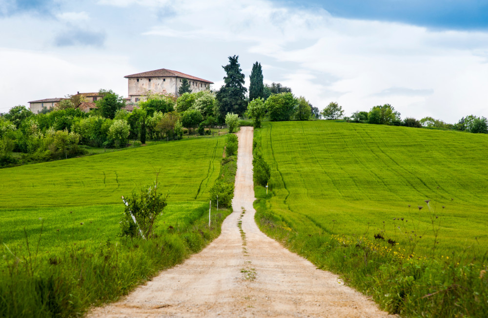 The Taste of Gallo Nero Wine: Private Tour with two Wineries
