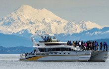 Eagle Wing Tours3
