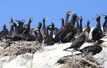 Eagle Wing Tours6