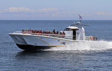 Eagle Wing Tours9