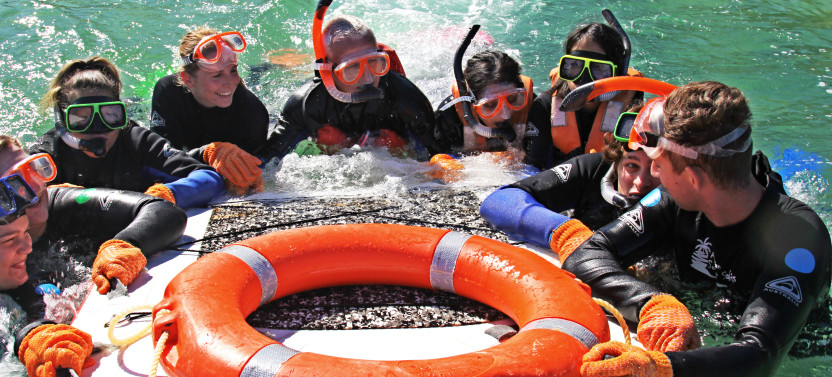 Moreton Island Get Wrecked 1-Day Tour
