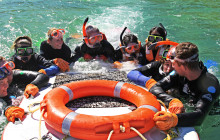 Australian Sunset Safaris2