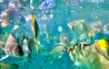 Australian Sunset Safaris5