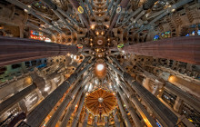 LivTours7