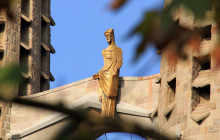 LivTours8