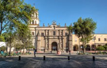 AMIGO TOURS6