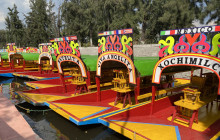 AMIGO TOURS8