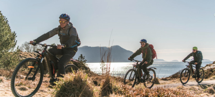 Small Group Art Nouveau E-Bike Tour from Ålesund
