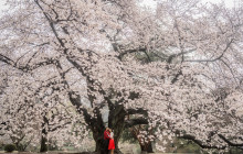 Flytographer6