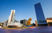 AMIGO TOURS19