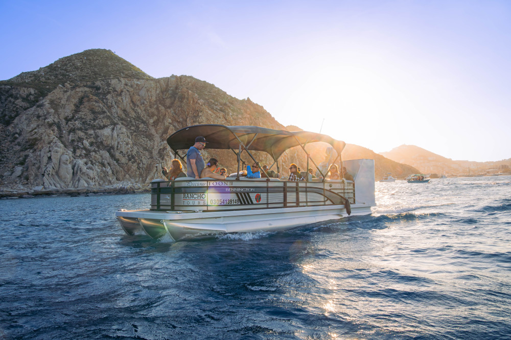 Elite Whale Watching Tour